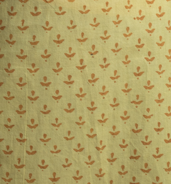 Block printed kurti detailed with zari work - Dedhia House